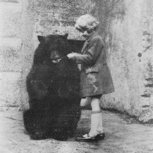 Winnipeg, 33cm AA MIlne, Merrythought 100 Year Anniversity, Winnie the Pooh, Limited Edition