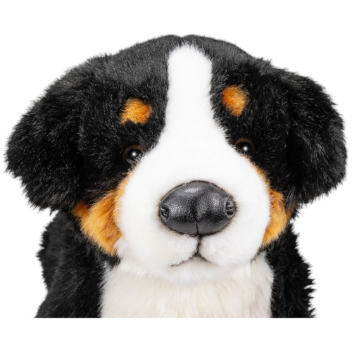 Face detail Bernese Mountain Dog, 40 cm Carl Dick, Germany- 015426