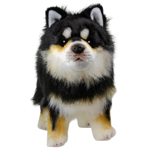 Face detail Finnish Lapphund, Lapinkoira Dog Plush Toy, 40 cm Carl Dick, Germany- 037930