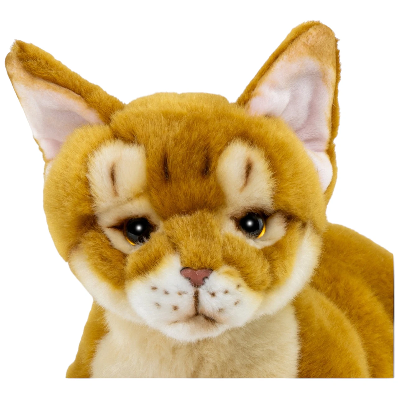Face Detail Abyssinian Cat Plush Toy Carl Dick Germany 30cm 037220