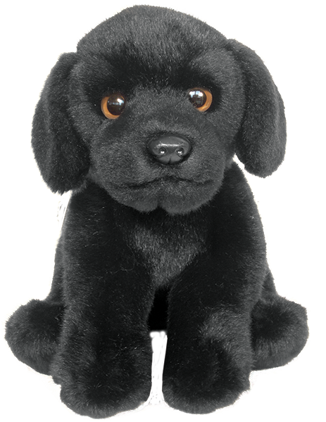 Black Labrador Dog Faithful Friends