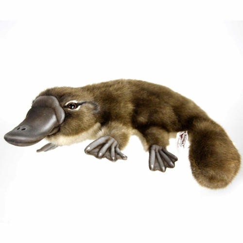 Hansa Platypus Stuffed Animal, 40cm 7683