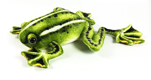 Curtin Frog Plush Huggable Toys