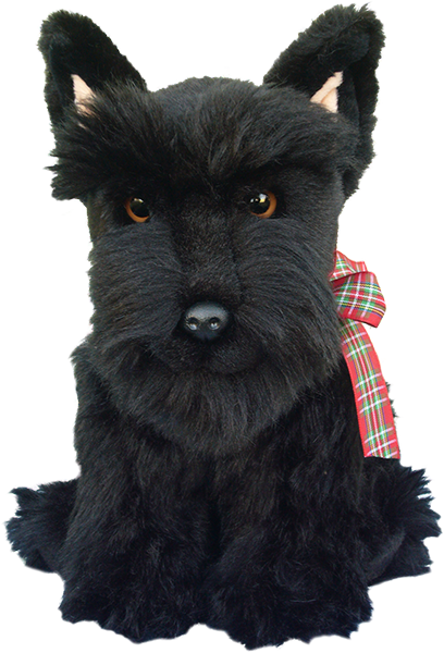 Scottish Terrier Dog Faithful Friends