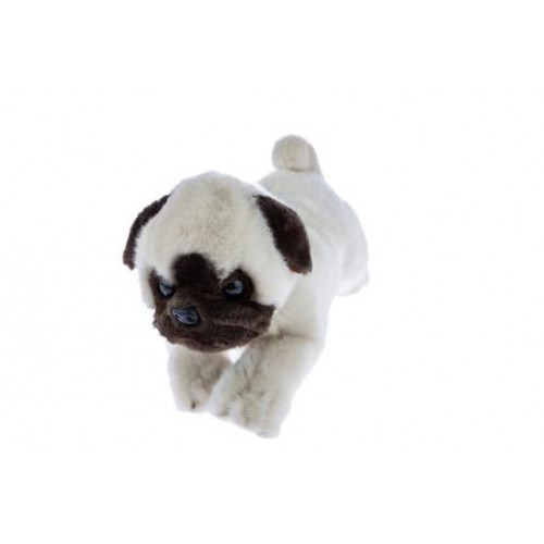 Pug Dog Plush Toy,  Pepito, Bocchetta