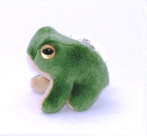 Tasmanian Tree Frog Soft Toy Australian Made