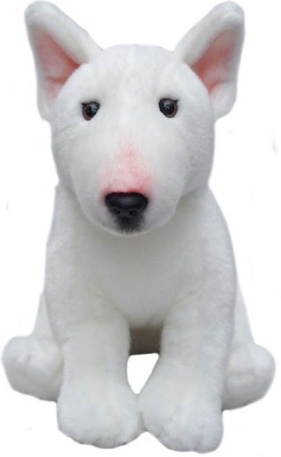 English Bull Terrier Dog Faithful Friends