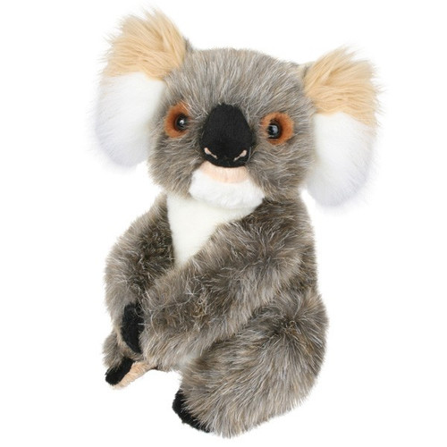 Koala Plush Toy, Little Adelaide