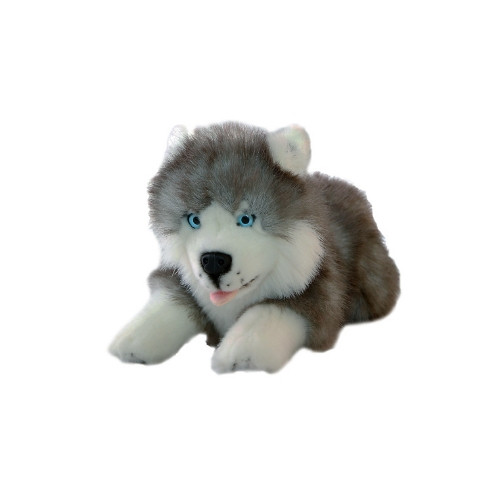 Husky Puppy Dog Plush Toy Marbles