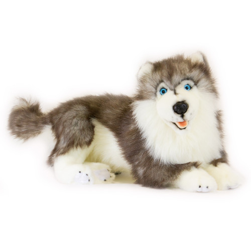 Husky Dog Soft Toy, Skye 40cm