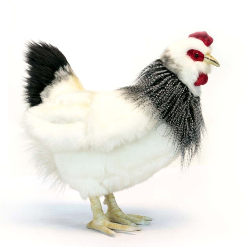 hansa rooster