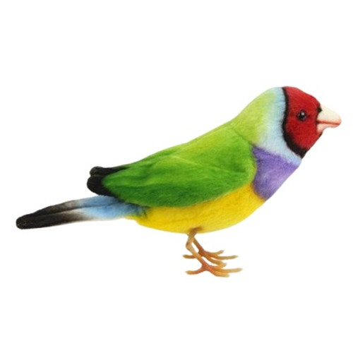 Gouldian Finch Bird, Hansa EAN 982112