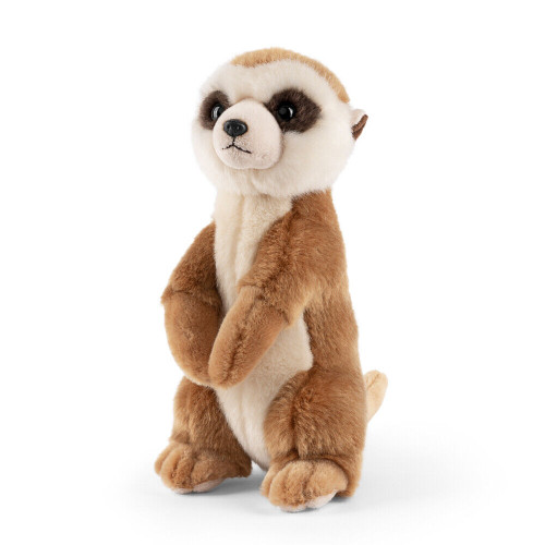 Giant shop meerkat teddy