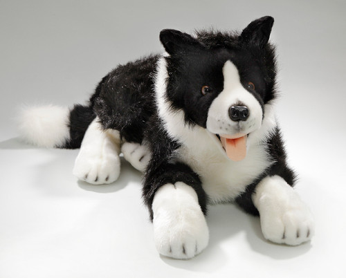 Border Collie Push Dog Toy Giant, Carl Dick Germany EAN 626952