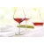 Royal Leerdam Champagner Coupé 260649 Carre 30 cl 6 Stück