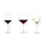 Stölzle Lausitz Wijnglas Starlight 82 cl 6 stuks