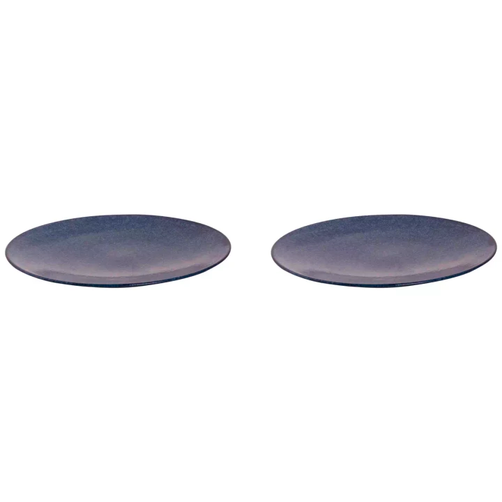 Palmer Plate Kiryu 27.5 cm Blue Porcelain 2 pcs.