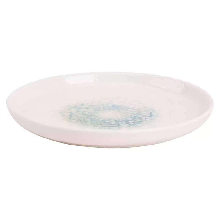 Maastricht Porselein Bord Aqua Mineralis 21 cm 2 stuks