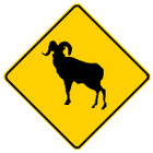 diamond shape, black and yellow sign, features a Ram.