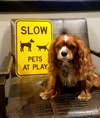  The Road to Quality: Dornbos Sign Inc. - Your Trusted Partner for Reflective Traffic Signs