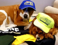 Believe in yourself!