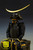 Date Masamune Daimyo Yoroi Date Masamune Daimyo Yoroi