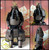 Tokugawa Clan Gashira Samurai Armour Tokugawa Clan Gashira Samurai Armour