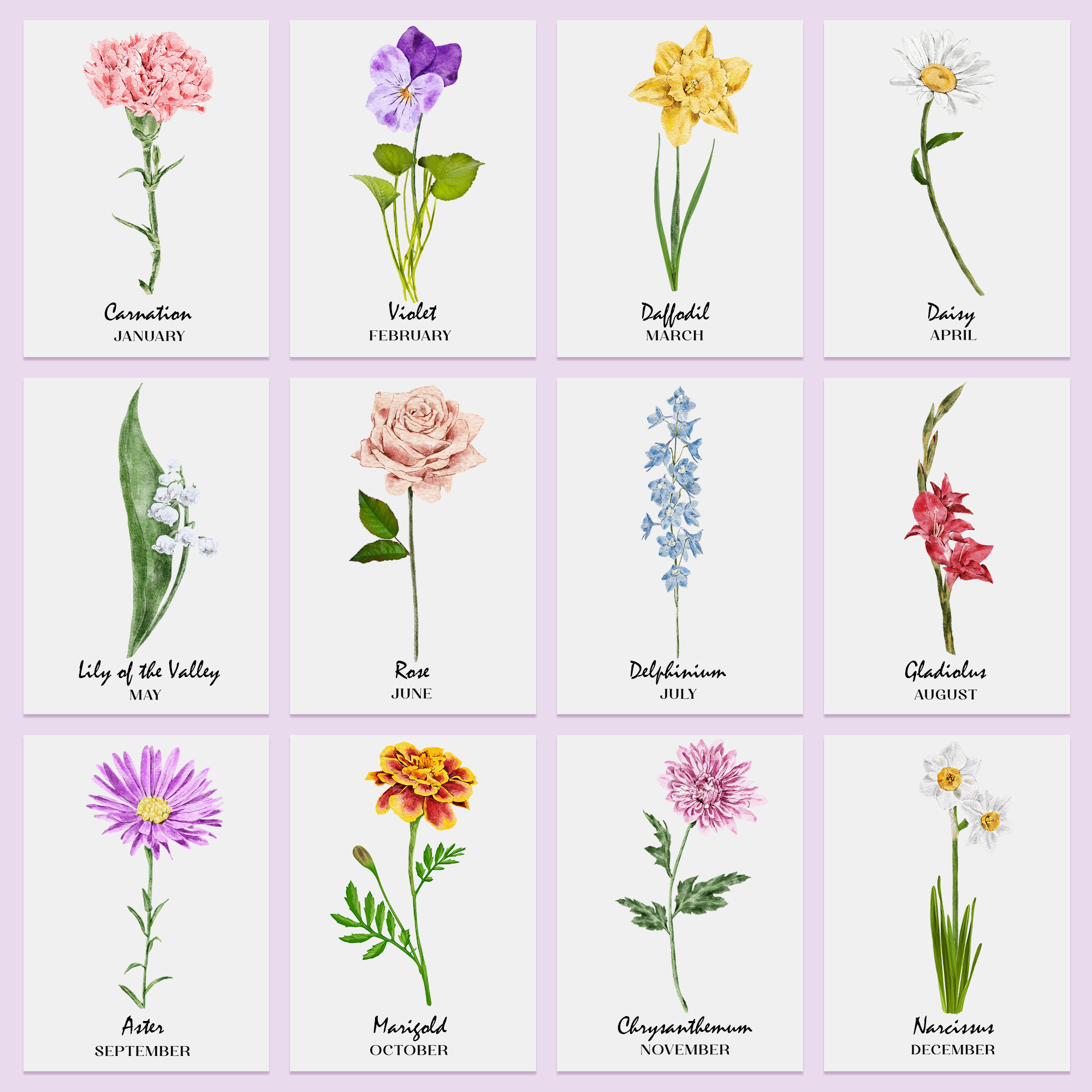 Birth Flower Chart