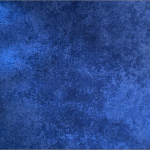 new-indigo-2024.jpg