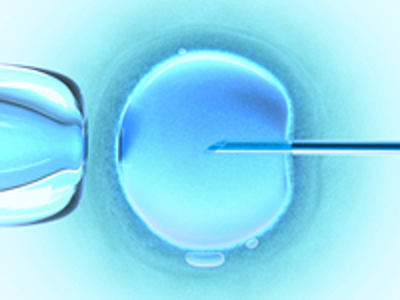 The IVF Process