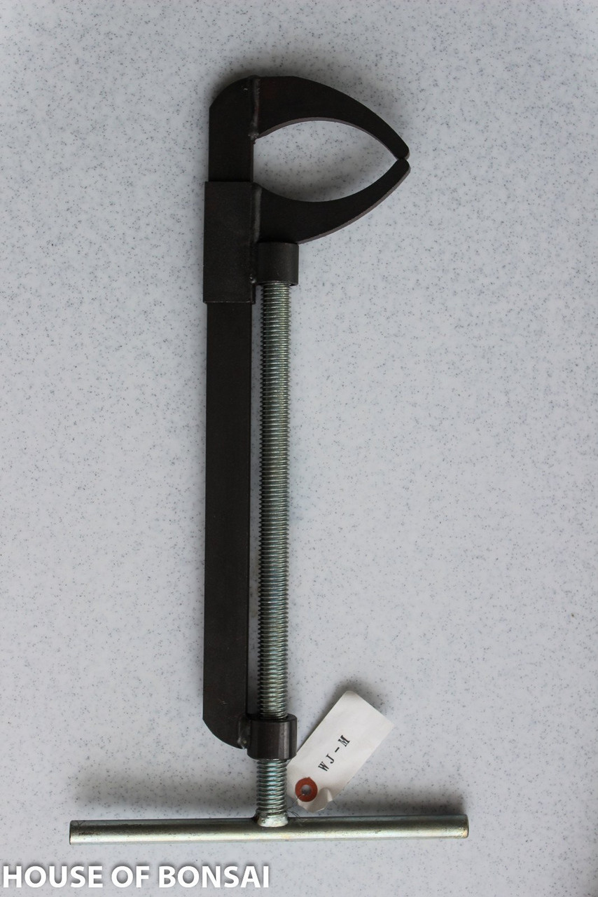 bonsai tree grow light LED Grow Lamp for Bonsai  Black & White