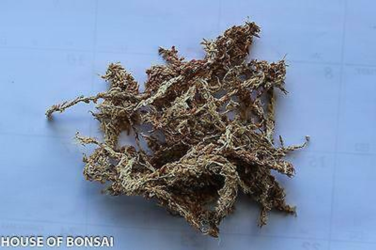 New Zealand Dry Sphagnum Moss AA Grade - Huge Super Compressed