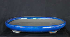 Japanese Yokkaichi Baby Blue Glazed Oval 16L x 14W x 3.5H