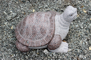 Solid Granite Stone Turtle Decorative Statue - Maple Brown Medium (In-Store Pick Up Only) - Main Image to Show Shiny Polished Shell Image Solid Granite Stone Turtle Decorative Statue - Maple Brown Medium (In-Store Pick Up Only) - Main Image to Show Shiny Polished Shell Image
