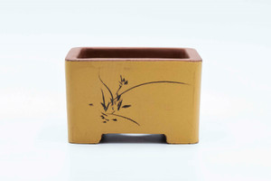 Semi cascade  mustard yellow  bonsai pot outside 7.5"x 7.5"x 4.75"