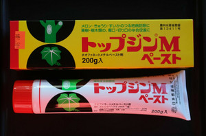 Top Jin Antifungal Medicated Cutpaste & Bonsai Tree Wound Sealer for Deciduous Trees - 200g Tube - Main Image Top Jin Antifungal Medicated Cutpaste & Bonsai Tree Wound Sealer for Deciduous Trees - 200g Tube - Main Image