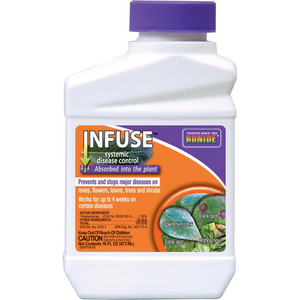 Bonide Infuse Systemic Disease Control Concentrate 16 fl oz Bottle - Main Image from Manufacturer's Website Bonide Infuse Systemic Disease Control Concentrate 16 fl oz Bottle - Main Image from Manufacturer's Website