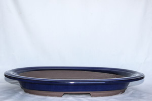 Japanese  Royal blue glazed Oval 15.5"L x 12.25"W Slim Forest & Raft Ceramic Bonsai Pot