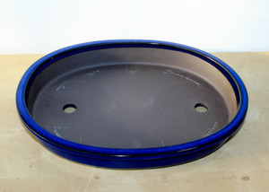 Japanese Yokkaichi Royal Blue Glazed Oval 13.75"L x 10.5"W x 1.75"D Shallow Ceramic Bonsai Pot - Main Image Japanese Yokkaichi Royal Blue Glazed Oval 13.75"L x 10.5"W x 1.75"D Shallow Ceramic Bonsai Pot - Main Image