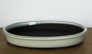 Japanese Yokkaichi Creamy White Glazed Oval 13.5"L x 10.5"W x 1.9"D Forest & Raft Ceramic Bonsai Pot - Main Image Japanese Yokkaichi Creamy White Glazed Oval 13.5"L x 10.5"W x 1.9"D Forest & Raft Ceramic Bonsai Pot - Main Image