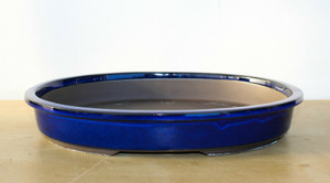 Japanese Yokkaichi Royal Blue Glazed Oval 13.75"L x 10.75"W x 2.0"D Forest & Raft Ceramic Bonsai Pot - Main Image Japanese Yokkaichi Royal Blue Glazed Oval 13.75"L x 10.75"W x 2.0"D Forest & Raft Ceramic Bonsai Pot - Main Image