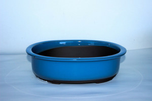 Japanese Yokkaichi Baby Blue Glazed Oval 14.5"L x 12.5"W x 3.5"H Ceramic Bonsai Pot - Main Image Japanese Yokkaichi Baby Blue Glazed Oval 14.5"L x 12.5"W x 3.5"H Ceramic Bonsai Pot - Main Image