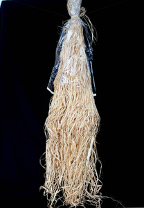 Natural Dried Raffia for Bonsai (About 3.5 ft Long) - Approx. 1 lb Large Size Bag - Main Image Natural Dried Raffia for Bonsai (About 3.5 ft Long) - Approx. 1 lb Large Size Bag - Main Image