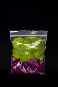 SuperMoss Reindeer Moss - Combo Apple Green & Purple Colors - Ready to Use - 7" x 8" Bag - Main Image SuperMoss Reindeer Moss - Combo Apple Green & Purple Colors - Ready to Use - 7" x 8" Bag - Main Image