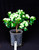Japanese Satsuki Azalea 'Green Glow' 1 Gallon Pre-Bonsai Tree - Main Image