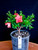 Japanese Satsuki Azalea 'Kinpai' 0.5 Gallon Pre-Bonsai Tree - Alternate Image