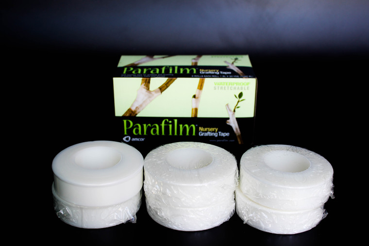 (Good Quality) Amcor Parafilm® Nursery Grafting Tape - 1 Inch Wide 6 Rolls Bulk Box - Main Image