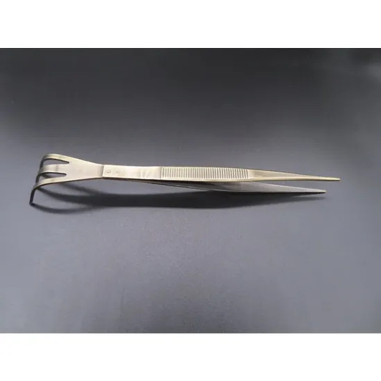 Tweezer with rake