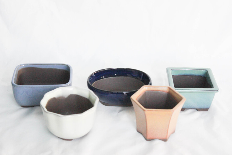 Japanese 3"L to 3.75"L assorted mame, shohin  5pcs/set bonsai pot