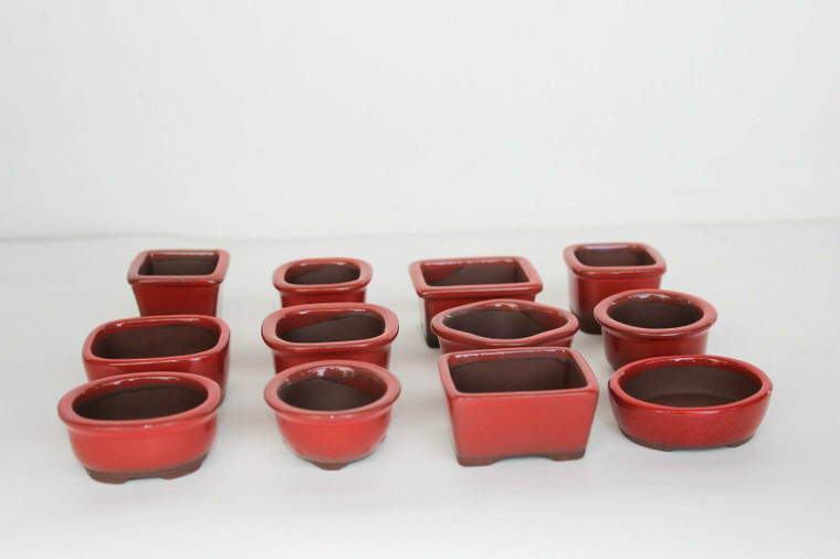 Japanese Yokkaichi Top Quality Vermillion Red Glazed Mame Ceramic